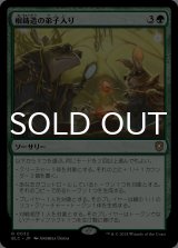 根鋳造の弟子入り/Rootcast Apprenticeship 【日本語版】 [BLC-緑R]