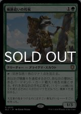 痕跡追いの斥侯/Trailtracker Scout 【日本語版】 [BLC-緑R]