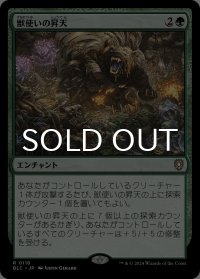 獣使いの昇天/Beastmaster Ascension 【日本語版】 [BLC-緑R]