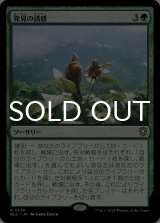 発見の誘惑/Tempt with Discovery 【日本語版】 [BLC-緑R]