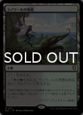 ラノワールの荒原/Llanowar Wastes 【日本語版】 [BLC-土地R]