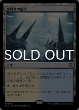 金属海の沿岸/Seachrome Coast 【日本語版】 [BLC-土地R]