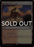 陽に焼かれたディバイド/Sunscorched Divide 【日本語版】 [BLC-土地R]
