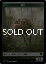 苗木/SAPROLING & 宝物/TREASURE (BLB) 【日本語版】 [BLC-トークン]