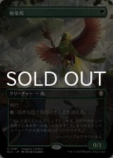 極楽鳥/Birds of Paradise (全面アート版) 【日本語版】 [BLC-緑R]