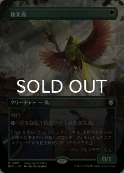 画像1: 極楽鳥/Birds of Paradise (全面アート版) 【日本語版】 [BLC-緑R]