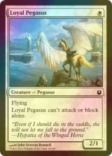 [FOIL] 忠実なペガサス/Loyal Pegasus 【英語版】 [BNG-白C]