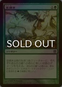 [FOIL] 空掃き/Skyreaping 【日本語版】 [BNG-緑U]