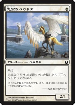 画像1: 忠実なペガサス/Loyal Pegasus 【日本語版】 [BNG-白C]