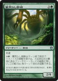 墓荒らし蜘蛛/Graverobber Spider 【日本語版】 [BNG-緑U]