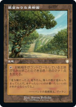 画像1: 風変わりな果樹園/Exotic Orchard (旧枠) 【日本語版】 [BRC-土地R]
