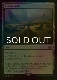 [FOIL] 低木林地/Brushland 【英語版】 [BRO-土地R]