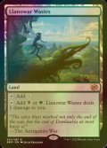 [FOIL] ラノワールの荒原/Llanowar Wastes 【英語版】 [BRO-土地R]