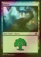 [FOIL] 森/Forest No.276 【英語版】 [BRO-土地C]