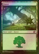 [FOIL] 森/Forest No.277 【英語版】 [BRO-土地C]