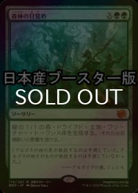 [FOIL] 森林の目覚め/Awaken the Woods ● (日本産ブースター版) 【日本語版】 [BRO-緑MR]