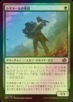 画像1: [FOIL] シタヌールの重鎮/Citanul Stalwart 【日本語版】 [BRO-緑C]