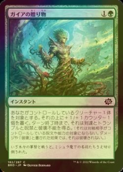 画像1: [FOIL] ガイアの贈り物/Gaea's Gift 【日本語版】 [BRO-緑C]