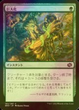 [FOIL] 巨大化/Giant Growth 【日本語版】 [BRO-緑C]