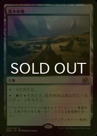 [FOIL] 低木林地/Brushland 【日本語版】 [BRO-土地R]