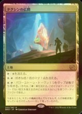 [FOIL] タグシンの広間/Hall of Tagsin 【日本語版】 [BRO-土地R]