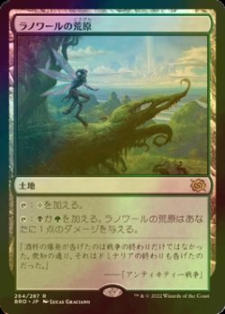 画像1: [FOIL] ラノワールの荒原/Llanowar Wastes 【日本語版】 [BRO-土地R]