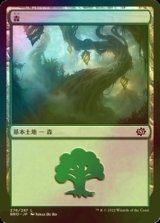 [FOIL] 森/Forest No.276 【日本語版】 [BRO-土地C]