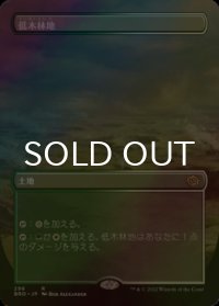 [FOIL] 低木林地/Brushland (全面アート・海外産ブースター版) 【日本語版】 [BRO-土地R]