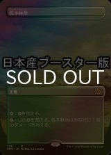 [FOIL] 低木林地/Brushland ● (全面アート・日本産ブースター版) 【日本語版】 [BRO-土地R]