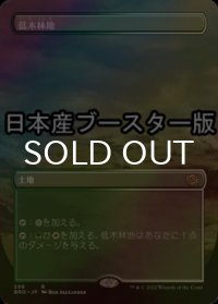 [FOIL] 低木林地/Brushland ● (全面アート・日本産ブースター版) 【日本語版】 [BRO-土地R]