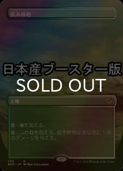 画像1: [FOIL] 低木林地/Brushland ● (全面アート・日本産ブースター版) 【日本語版】 [BRO-土地R]