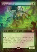 [FOIL] 獣相のシャーマン/Fauna Shaman (拡張アート版) 【日本語版】 [BRO-緑R]