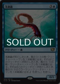 浅瀬蟲/Reef Worm 【日本語版】 [C14-青R]