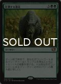 圧倒する暴走/Overwhelming Stampede 【日本語版】 [C14-緑R]