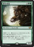 狼茨の精霊/Wolfbriar Elemental 【日本語版】 [C14-緑R]
