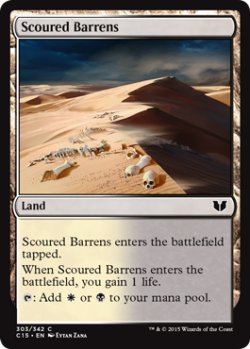 画像1: 磨かれたやせ地/Scoured Barrens 【英語版】 [C15-土地C]