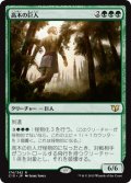 高木の巨人/Arbor Colossus 【日本語版】 [C15-緑R]