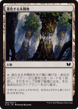 画像1: 進化する未開地/Evolving Wilds 【日本語版】 [C15-土地C]