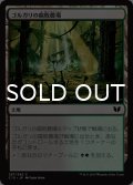 ゴルガリの腐敗農場/Golgari Rot Farm 【日本語版】 [C15-土地C]
