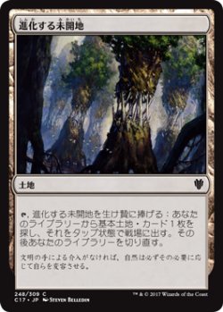 画像1: 進化する未開地/Evolving Wilds 【日本語版】 [C17-土地C]