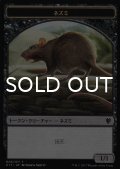 ネズミ/RAT & 猫・戦士/CAT WARRIOR 【日本語版】 [C17-トークン]