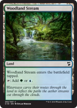 画像1: 森林地の小川/Woodland Stream 【英語版】 [C18-土地C]
