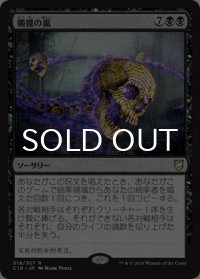 髑髏の嵐/Skull Storm 【日本語版】 [C18-黒R]