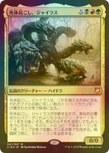 [FOIL] 死体起こし、ジャイラス/Gyrus, Waker of Corpses 【日本語版】 [C18-金MR]