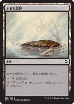 画像1: やせた原野/Barren Moor 【日本語版】 [C18-土地C]