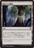 進化する未開地/Evolving Wilds 【日本語版】 [C18-土地C]