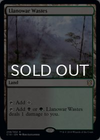ラノワールの荒原/Llanowar Wastes 【英語版】 [C19-土地R]