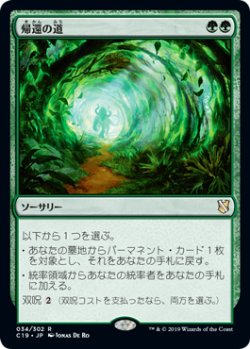 画像1: 帰還の道/Road of Return 【日本語版】 [C19-緑R]