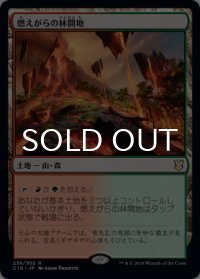 燃えがらの林間地/Cinder Glade 【日本語版】 [C19-土地R]