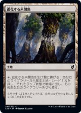 進化する未開地/Evolving Wilds 【日本語版】 [C19-土地C]